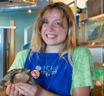 Nonprofit Photo  (252754)