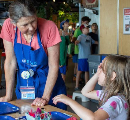 Nonprofit Photo  (252755)