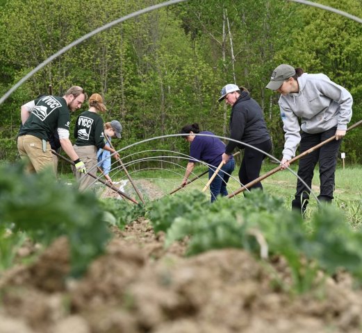 Nonprofit Photo  (255970)