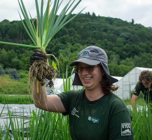 Nonprofit Photo  (255992)