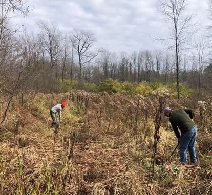 Nonprofit Photo  (255996)