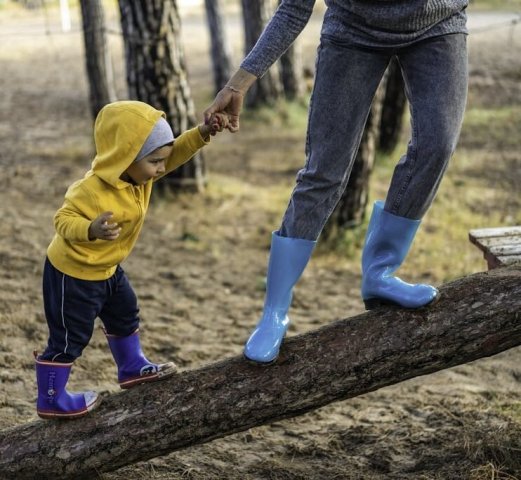 Nonprofit Photo  (256027)