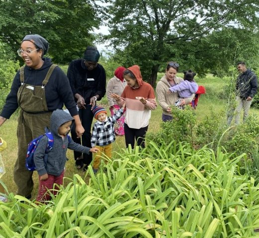 Nonprofit Photo  (256070)