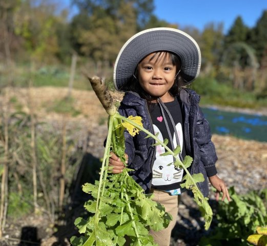 Nonprofit Photo  (256011)