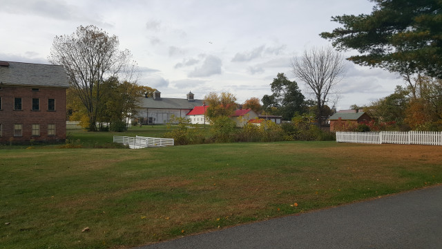 Agency Photo  (165645)