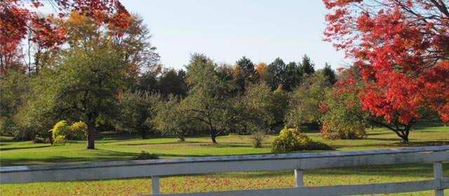 Agency Photo  (165643)