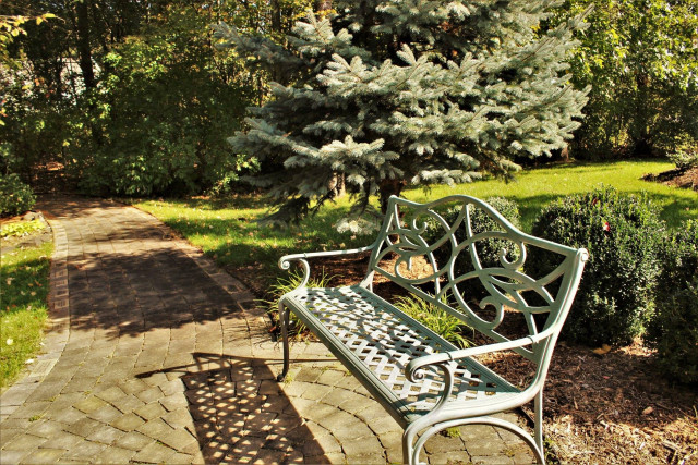 Agency Photo  (136927)