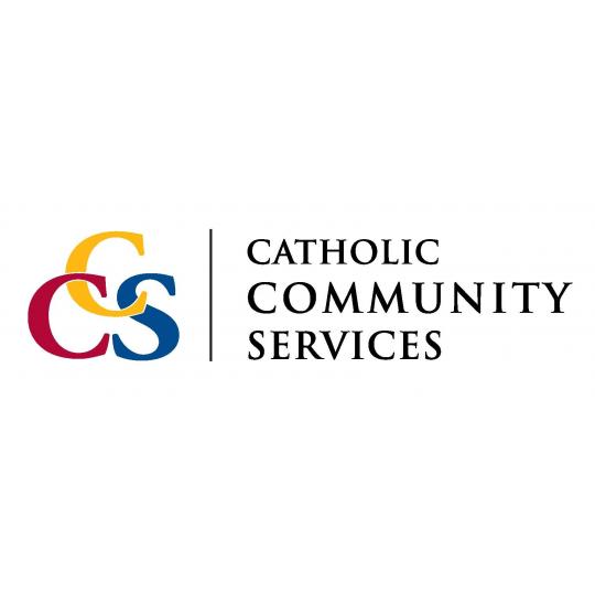 Agency Logo