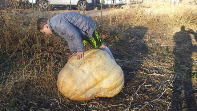 Agency Photo  (117519)