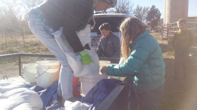 Agency Photo  (117518)