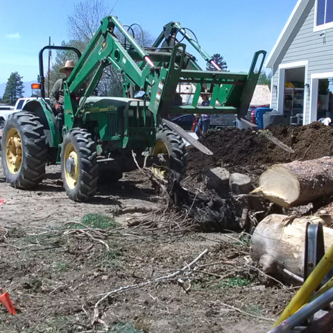 Agency Photo  (117507)