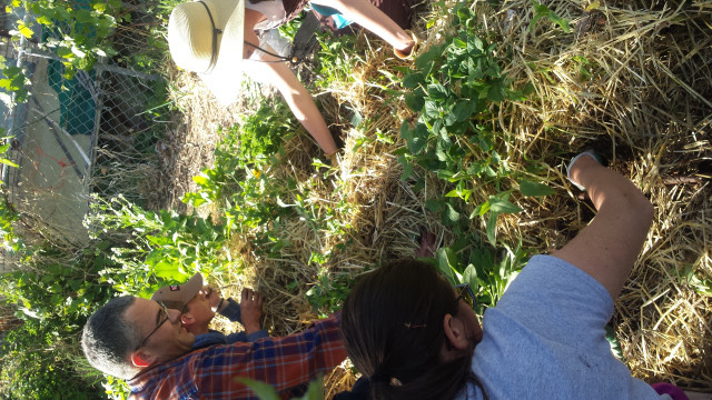 Agency Photo  (117513)