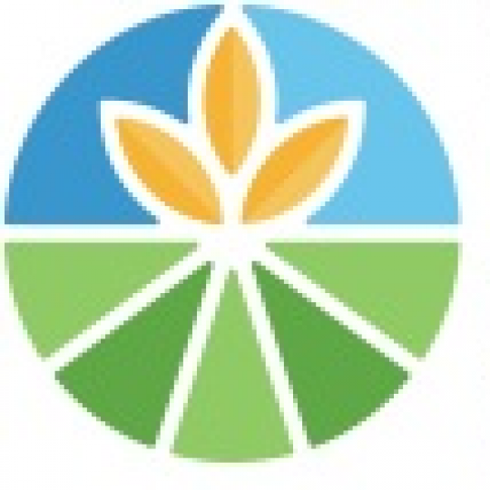 Organization Logo