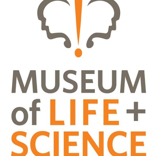 Organization Logo