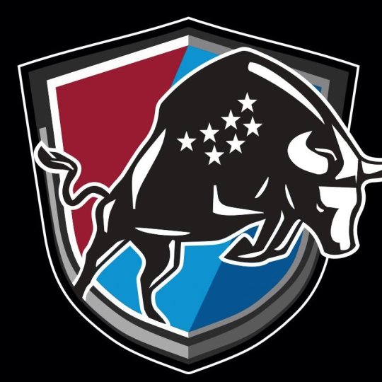 Organization Logo