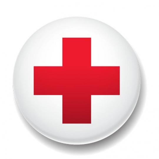 Organization Logo