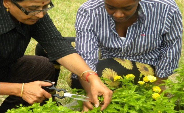 Organization Photo  (79013)