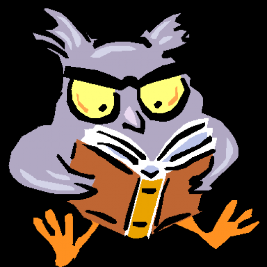 Organization Logo