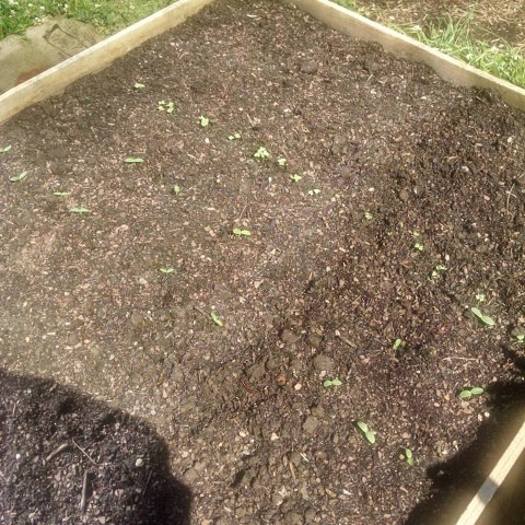 Organization Photo  (92549)