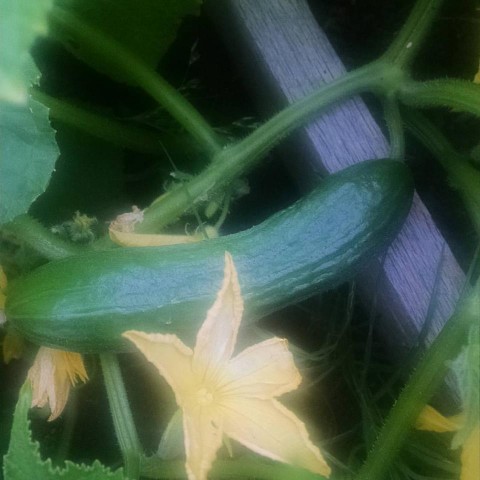 Organization Photo  (92551)