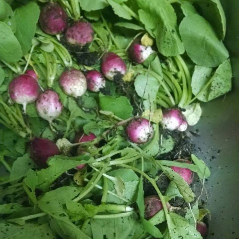 Organization Photo  (92552)