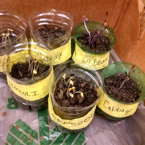 Organization Photo  (92550)