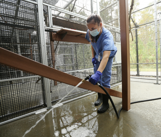 Organization Photo  (154472)