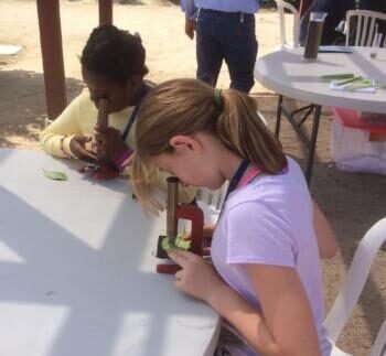 Agency Photo  (270874)