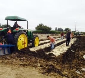 Agency Photo  (270868)