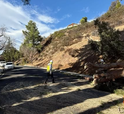 Agency Photo  (270910)