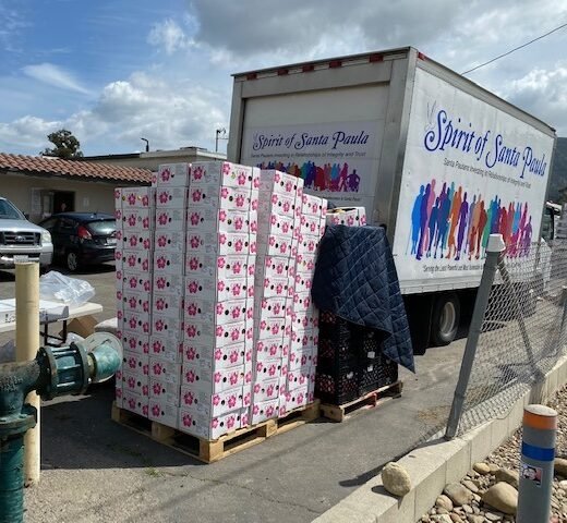 Agency Photo  (271057)