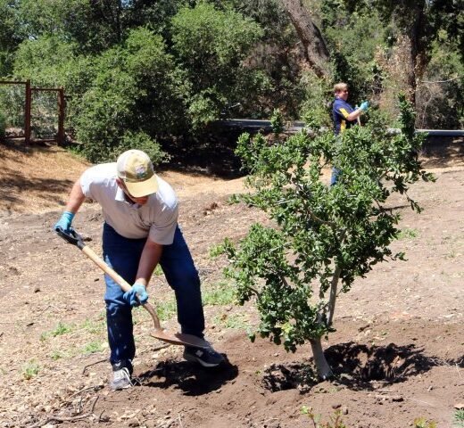Agency Photo  (271117)