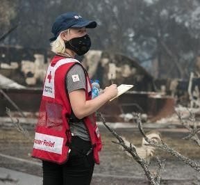 Agency Photo  (255599)