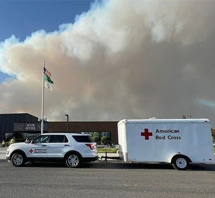 Agency Photo  (255596)