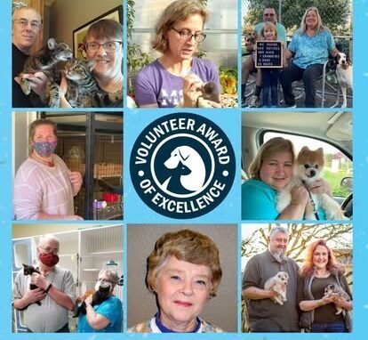 Agency Photo  (270487)