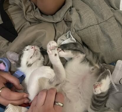 Agency Photo  (270472)