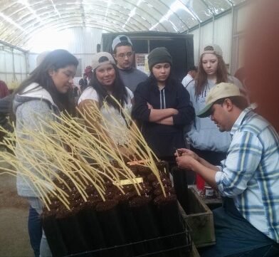 Agency Photo  (270518)