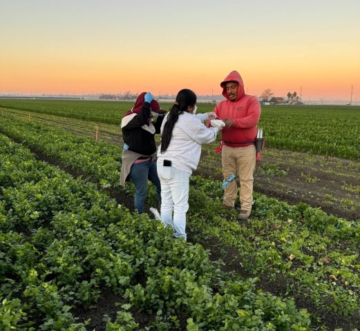 Agency Photo  (270585)