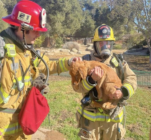 Agency Photo  (270588)