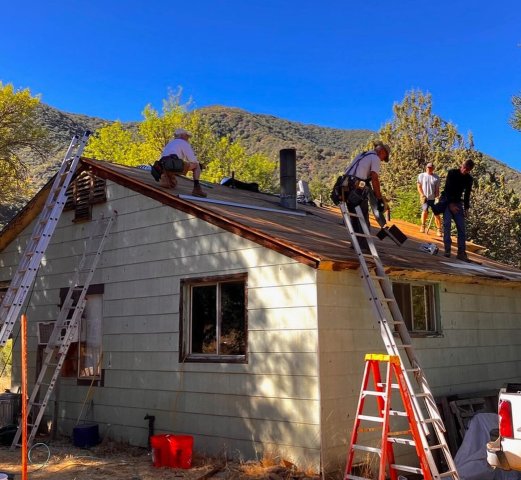 Agency Photo  (270752)