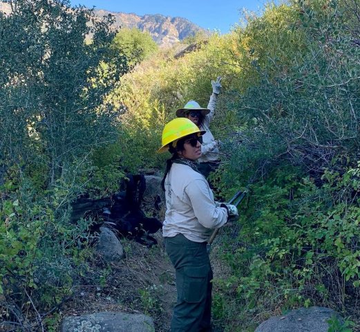 Agency Photo  (270753)