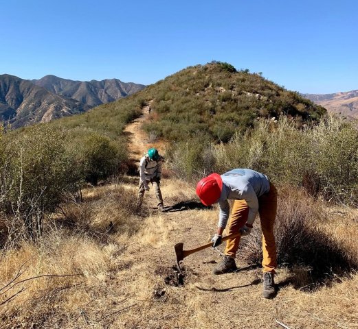 Agency Photo  (270748)