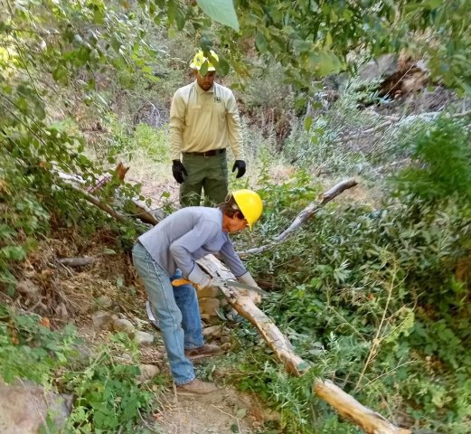 Agency Photo  (270749)