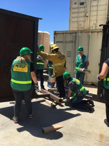 Agency Photo  (87448)