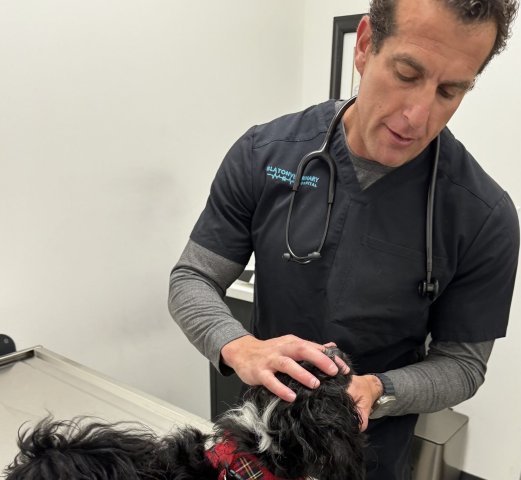 Agency Photo  (270820)