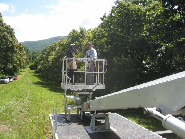 Agency Photo  (76162)