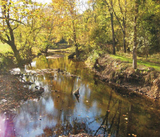 Agency Photo  (89136)