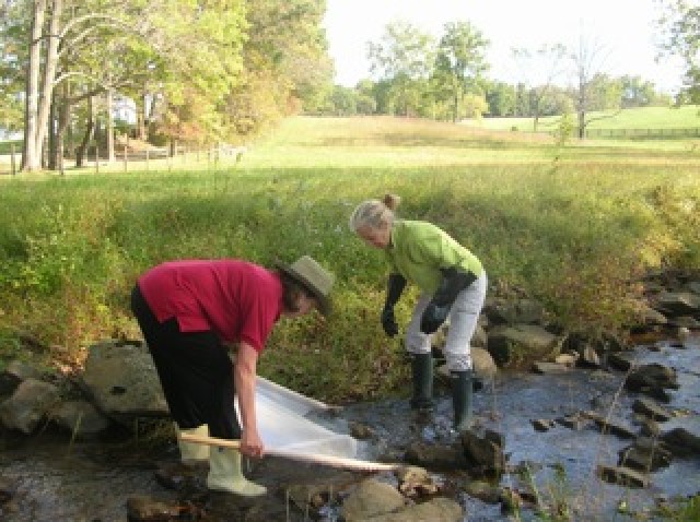 Agency Photo  (89137)