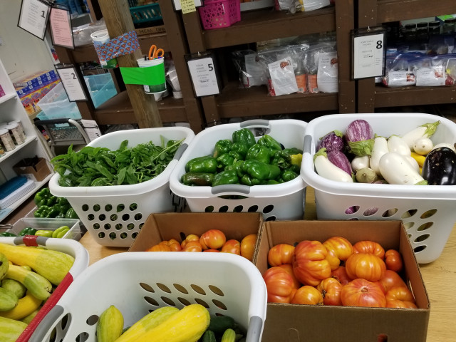 Agency Photo  (147317)