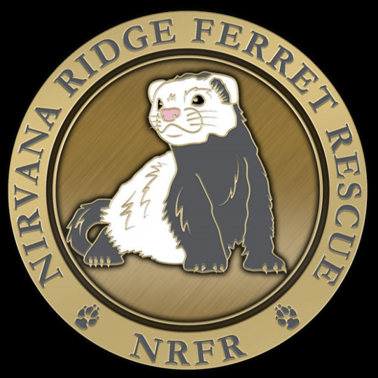 Agency Logo